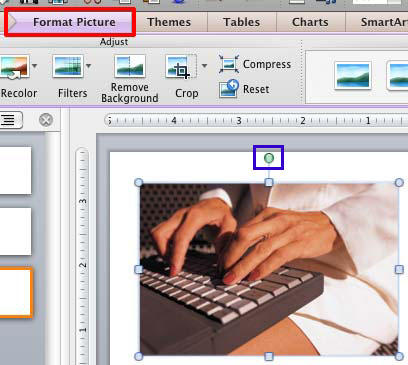 cropping an image in powerpoint for mac 2011